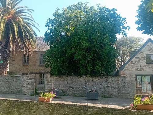 Image 14 de la galerie - UDOC